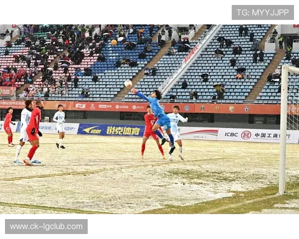 宠物足球队奇幻变形冒险开启全新热血竞技之旅在梦幻赛场勇闯巅峰之战